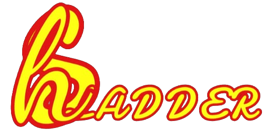 HS LADDER logo